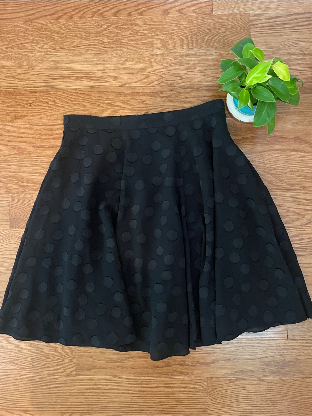 Ann Taylor Black Textured Polka Dot Skater Skirt
